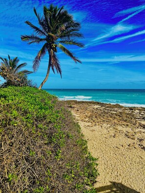 Beach nearby