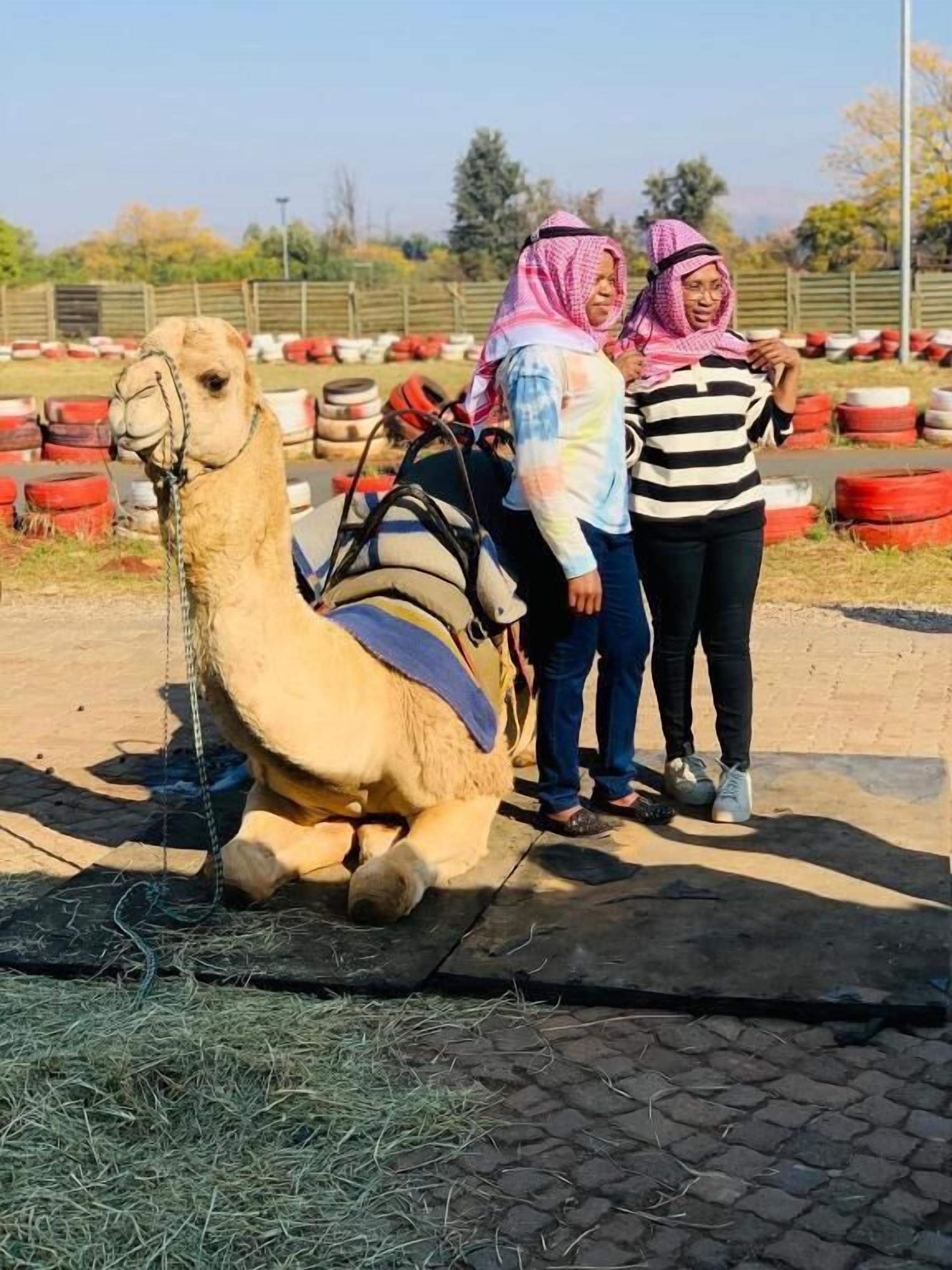 A camel with a saddle, a person in a striped shirt, and another in a tie-dye shirt.