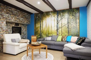 Smart TV, fireplace - Le nid du colibri, self-catering 13 places (Drulhe)