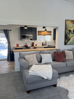 Living area - Moose Pond/Pleasant Mountain (Bridgton)