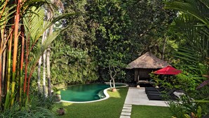 Ein Pool, umgeben von üppiger Vegetation, einer Reetdachkonstruktion und Gartenmöbeln.