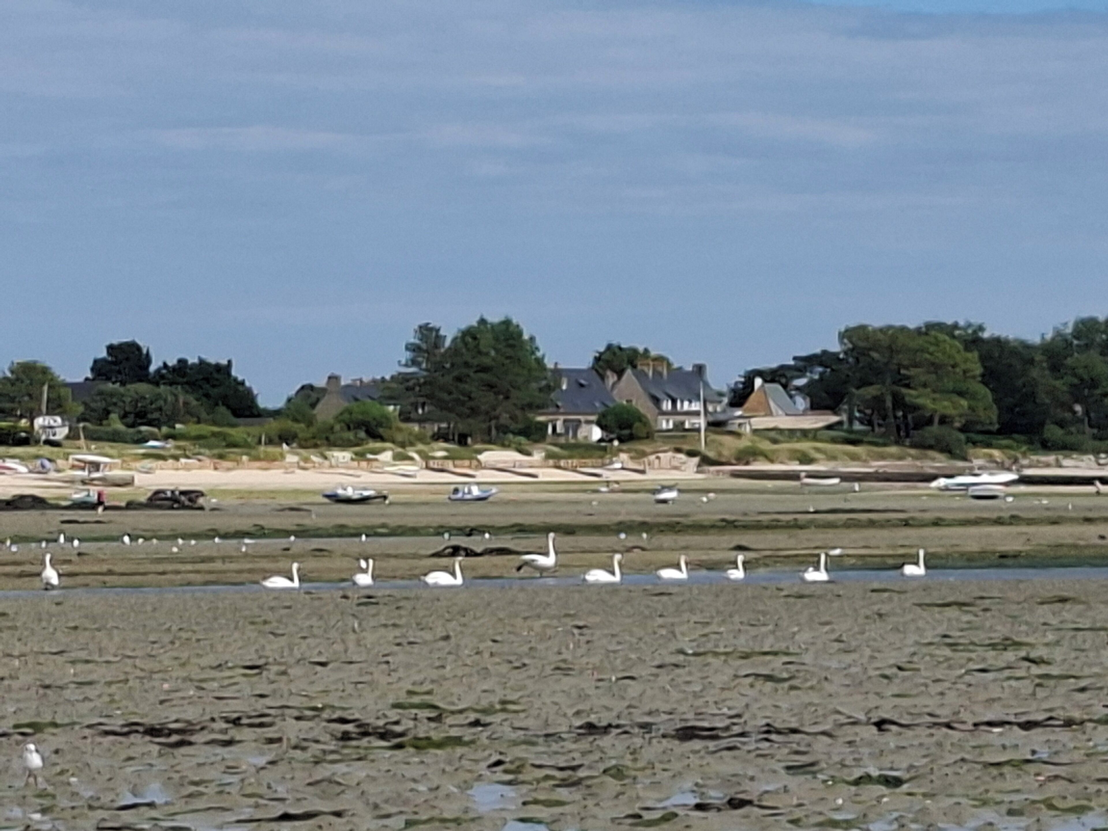 En kustvy med en sandstrand, en rad hus och flera båtar.
