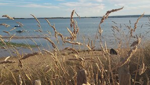 A coastal landscape with a view of the sea, featuring tall grasses and a wooden structure in the foreground. - Close to Barfleur, its port and beaches, courtyard for parking, bicycle shelter (Sainte-Geneviève)