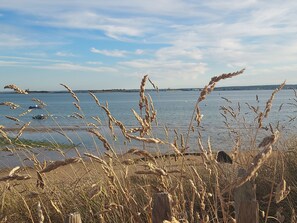A coastal landscape with a view of the sea, featuring tall grasses and a wooden structure in the foreground. - Near Barfleur, harbor & beaches, courtyard for parking, bike shelter (Sainte-Geneviève)