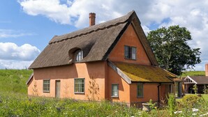 Ein traditionelles Haus mit einem strohgedeckten Dach, umgeben von einem Feld voller Wildblumen.
