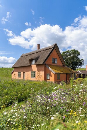 Exterior - Wilderness Reserve - The Cider House (Halesworth)