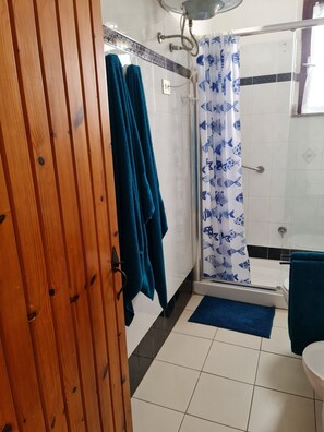 Shower, hair dryer, bidet, towels