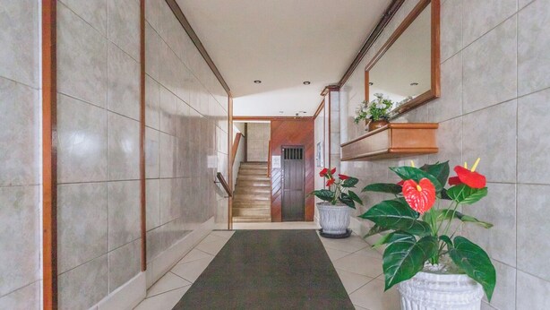 A hallway with tiled walls, a carpeted floor, a wooden staircase, and potted plants. - Apto Confort vel Tima Localiza o e pet Friendly (Teresópolis)