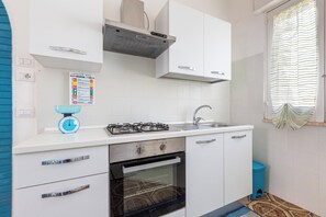 Fridge, stovetop, cookware/dishes/utensils