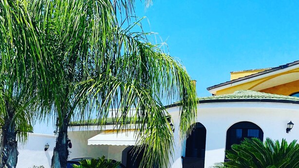 Una piscina con sillones de descanso, palmeras y un edificio blanco con arcos.