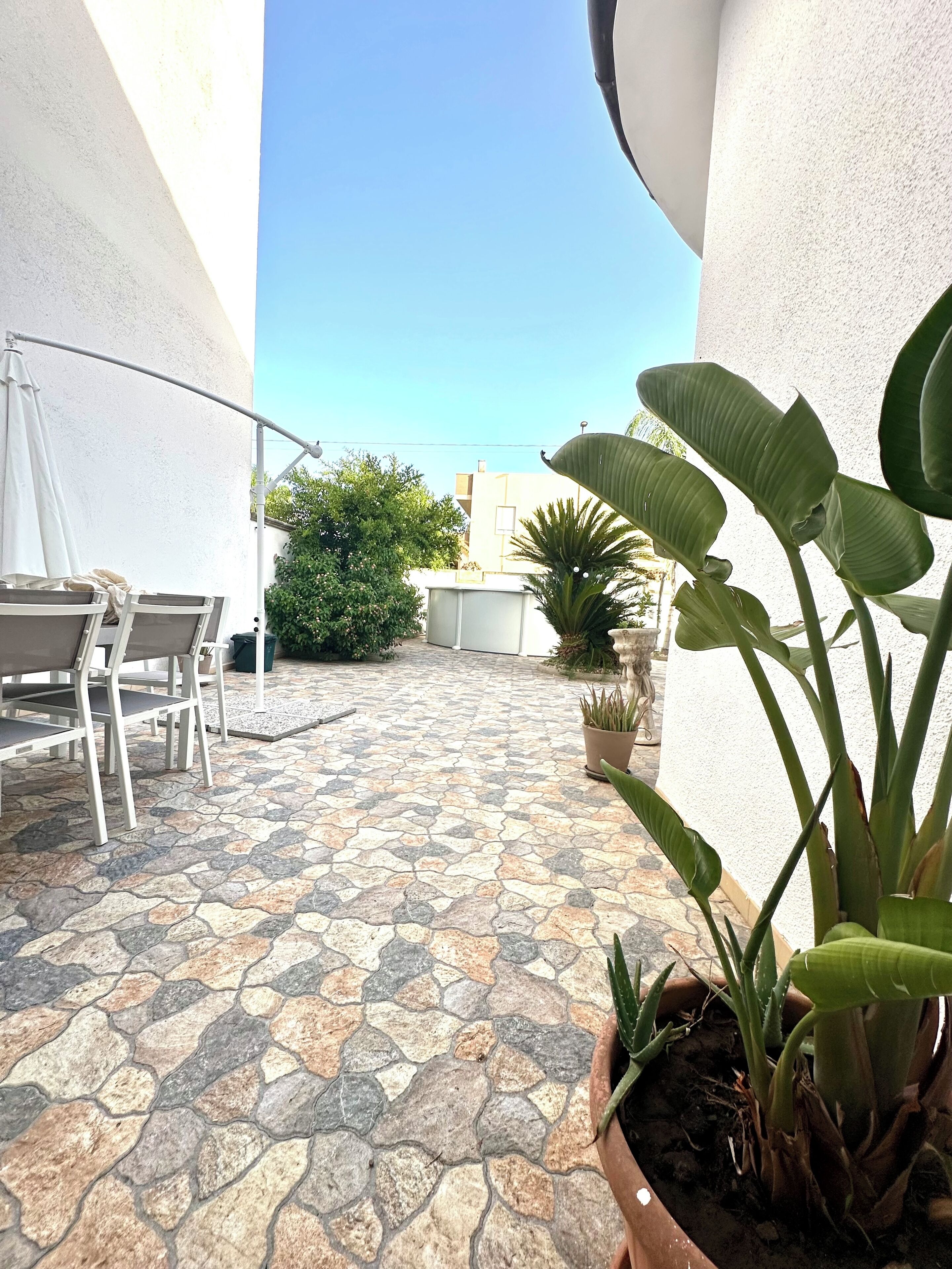 Een terras met stenen vloer, een witte muur en een plant in een pot.