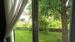 Una ventana con vista a un jardín césped y un árbol.