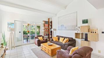 TV connectée, cheminée, livres