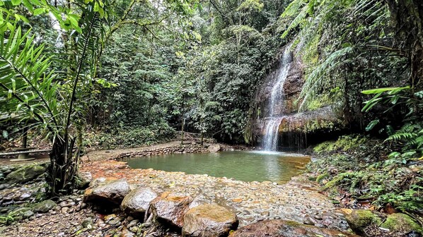 Cascada natural en zona boscosa, con un estanque y primer plano rocoso.