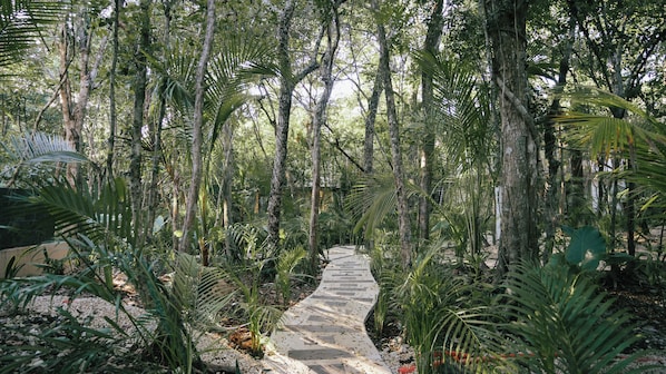 Terrain de l’hébergement 