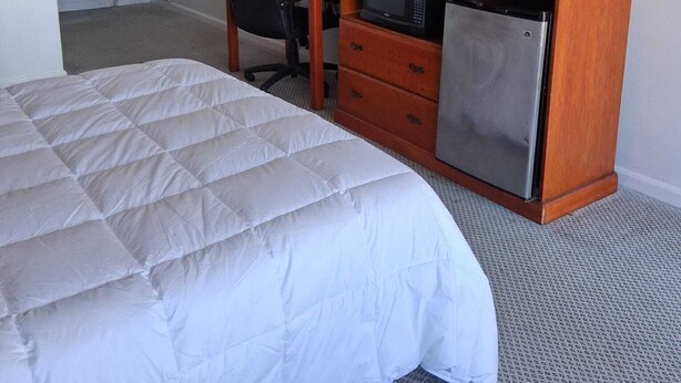 Habitación de hotel con cama, escritorio con microondas, televisión y zona de ducha.