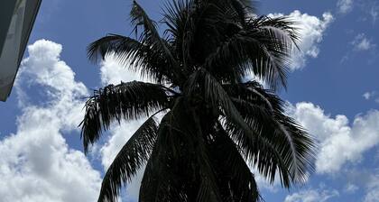 Palm Paradise - Charming 2-bedroom house with WiFi and AC in Big Pine Key