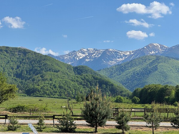Un paisaje montañoso con cielo despejado, una cerca de madera y un campo cubierto de césped y árboles.