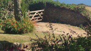 A garden with a wooden gate leading to a stone wall, surrounded by various plants and flowers.