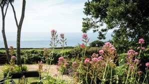 A garden with a view of the sea, featuring various plants and flowers.