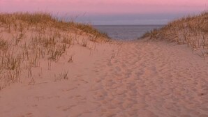 Ein Strand mit Dünen und ruhigem Meerwasser unter einem rosafarbenen Himmel.