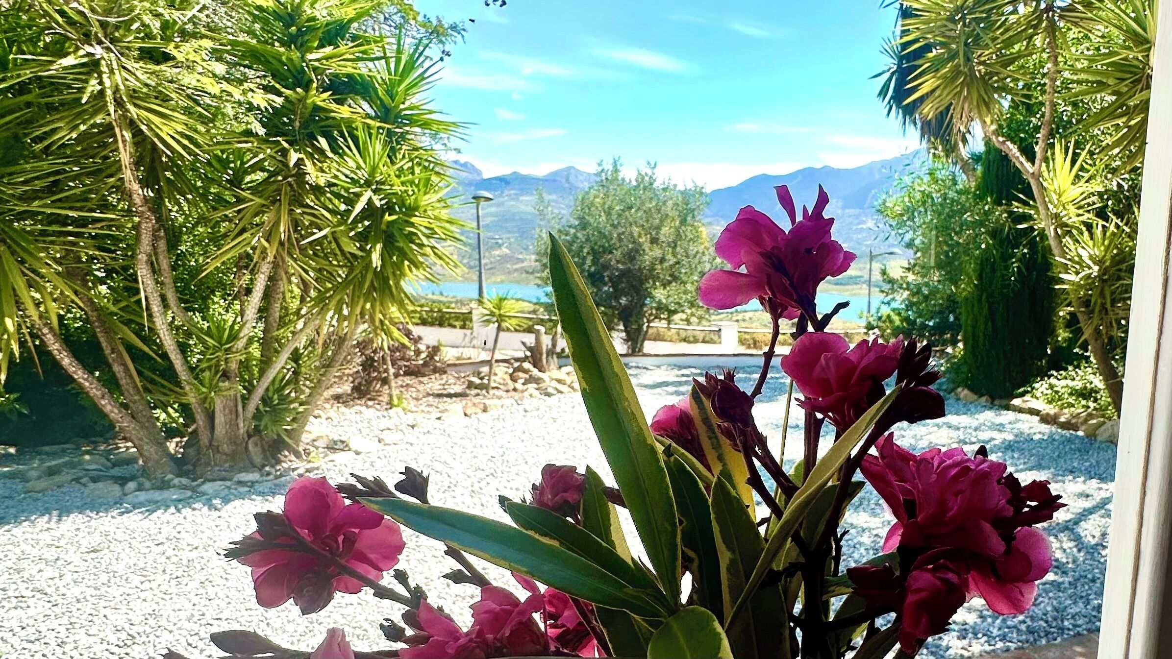 Detalle del exterior