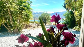 Detalle del exterior