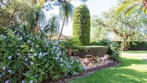 A well-maintained garden with a variety of plants and a neatly trimmed hedge. - Private pool, garden, barbecue and beach nearby (La Xara)