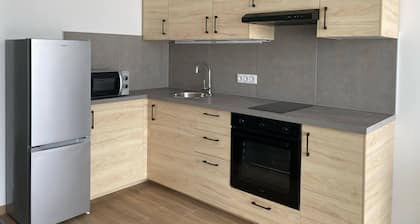 Modern Studio Retreat in Boróka Park, Kecskemét