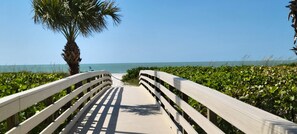 Sun loungers, beach towels
