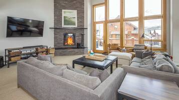 Télévision, cheminée, espaces bureaux