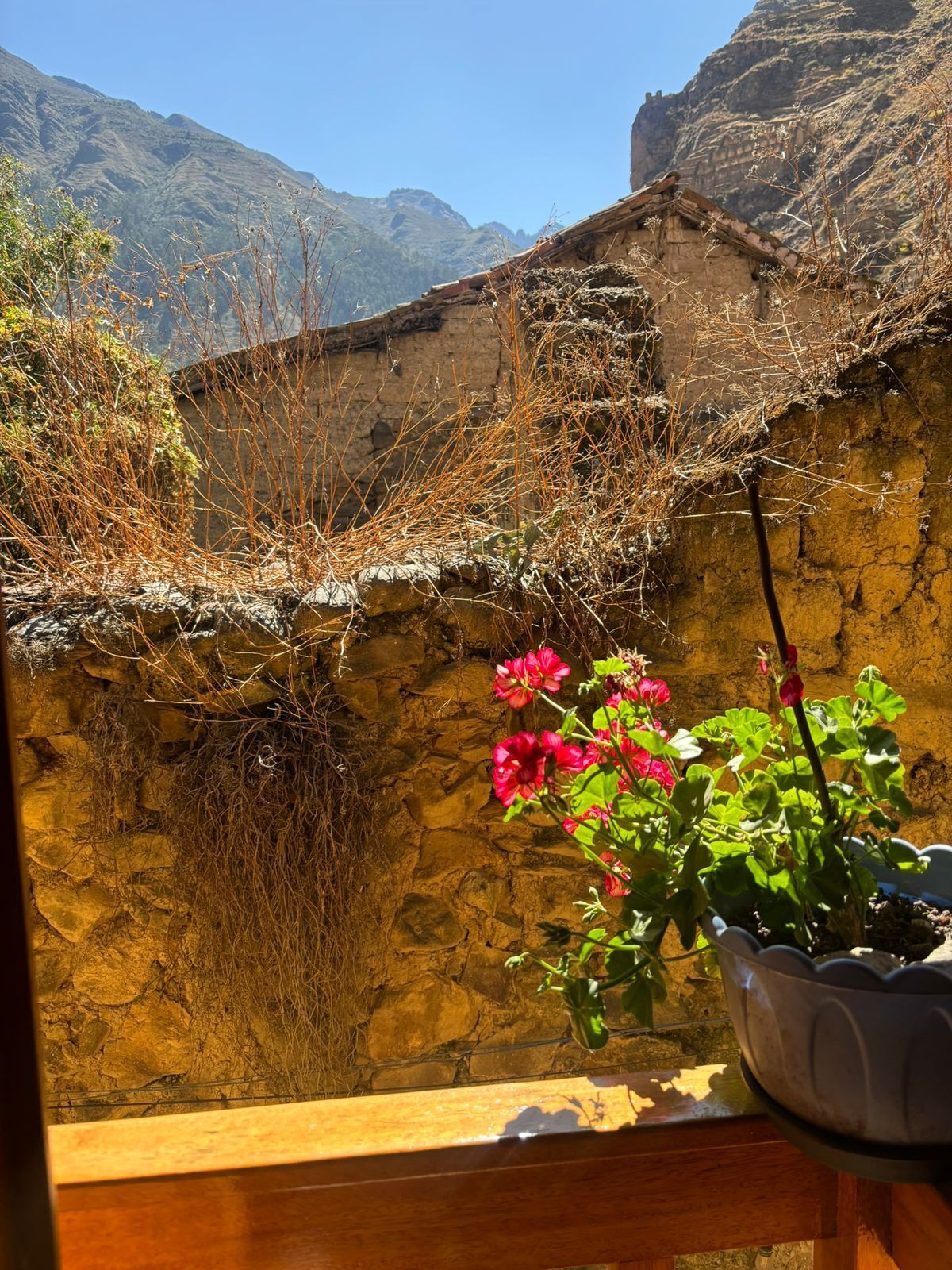 Deluxe Oda, Dağ Manzaralı | Teras/veranda