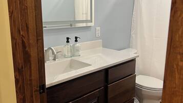 Hair dryer, soap, shampoo, toilet paper