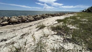 Una playa arenosa con un espigón rocoso y zonas cubiertas de hierba.