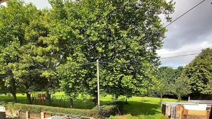Zona residencial con un árbol grande, un parque infantil y un pequeño edificio.