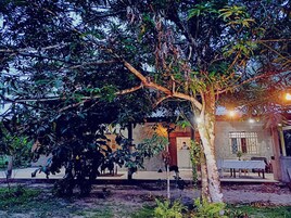 A szálláshely külső területei