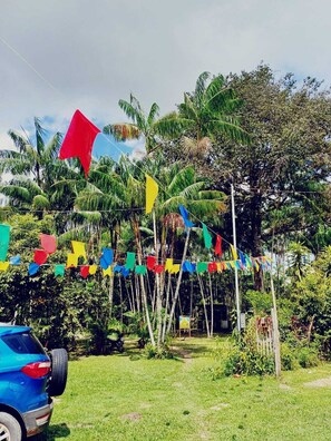 Garden view