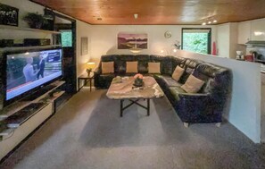 TV connectée, cheminée, lecteur de DVD