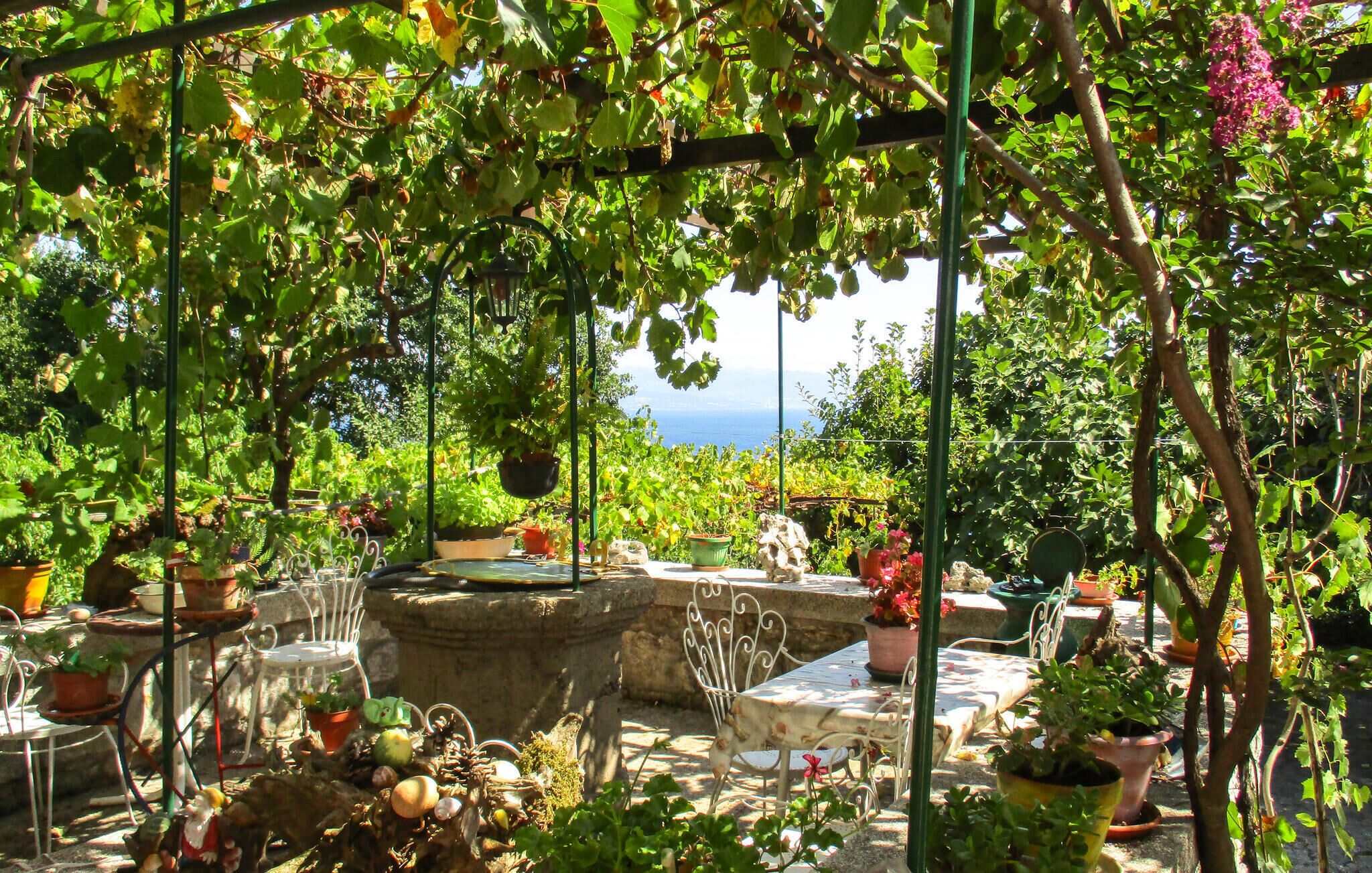 Ein Garten mit einer Pergola, Topfpflanzen und Blick auf das Meer.