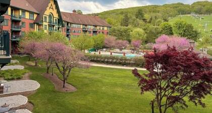 Condo at Mtn Creek 1 Bdr 1 Bath sleep 4 Mtn view #308