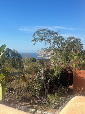 Terrain de l’hébergement 