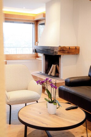 TV, fireplace, offices