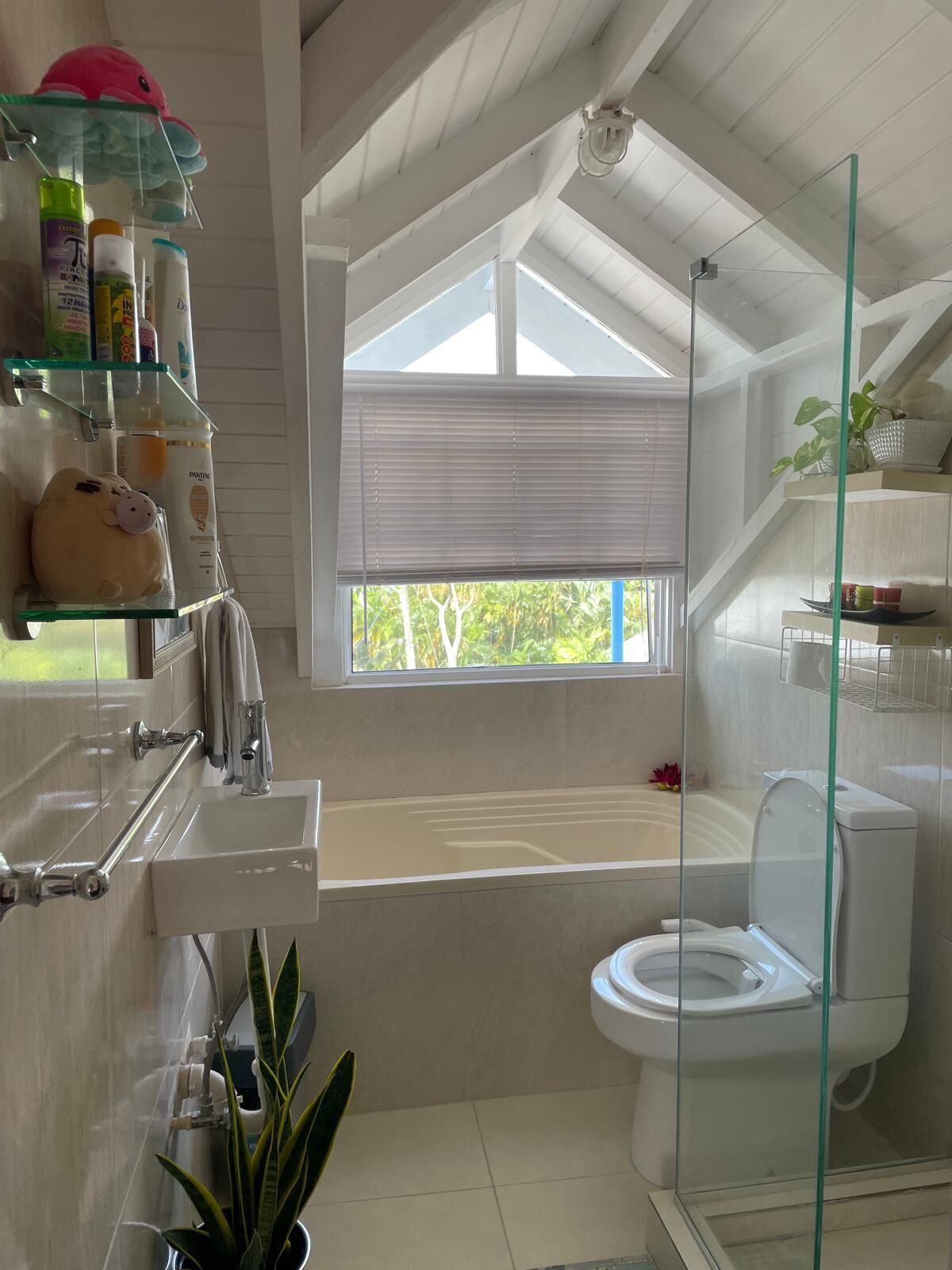 Hair dryer, bidet, towels, soap