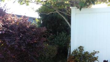 A white fence, dense shrubbery, and a tree with green foliage.
