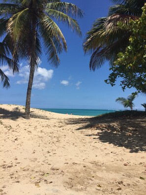 Beach nearby, white sand, beach towels - Red Door Inn (San Juan)