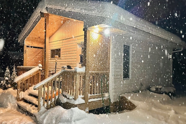 Wintertime cozy in the Cabin - gas fireplace, beautiful views looking out