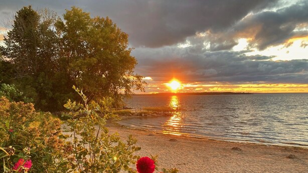 A sunset over a lake with a rocky shoreline and dense foliage.