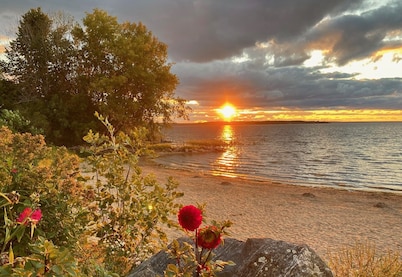 Cabin Peace Georgian Bay on Tay Trail, Pre-Summer May/June Save 20%