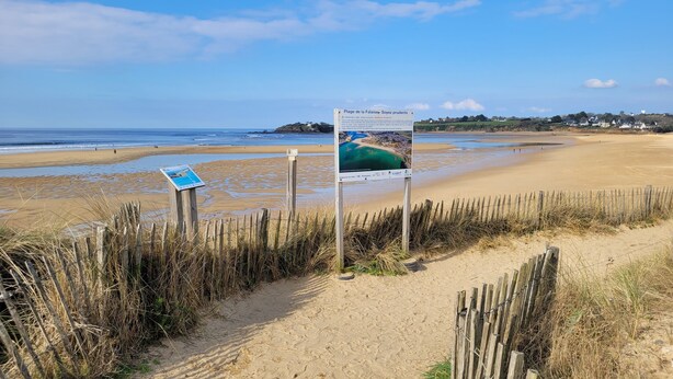 Strand