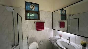 Hair dryer, bidet, towels, soap